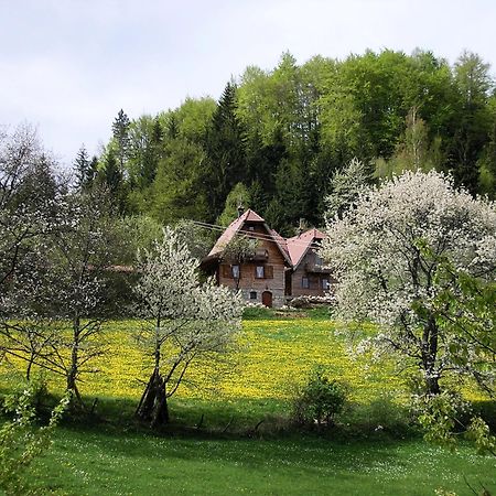 Apartmán Konaci Zaovljanska jezera Zaovine Exteriér fotografie