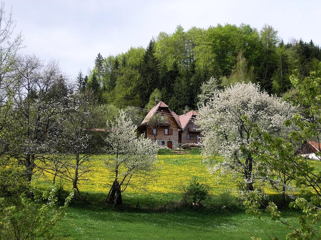 Apartmán Konaci Zaovljanska jezera Zaovine Exteriér fotografie